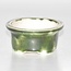 Hand-painted oval white and green pot with playing frogs