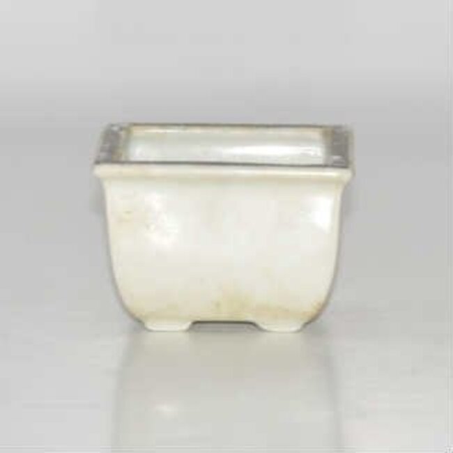 Rectangular pot