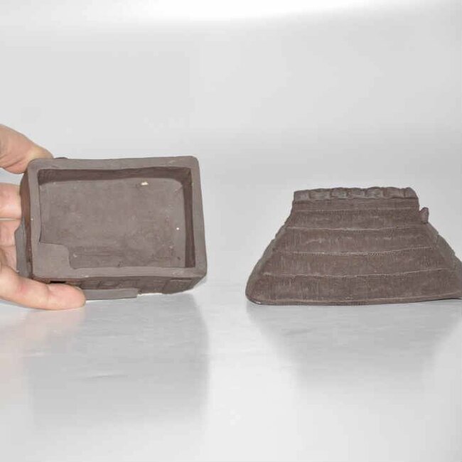 Tenpai por Tonjaku 10 cm