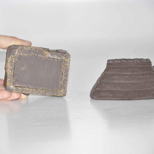 Tenpai van Tonjaku 10 cm