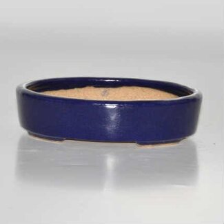  Hattori Tomoyuki Ovale pot