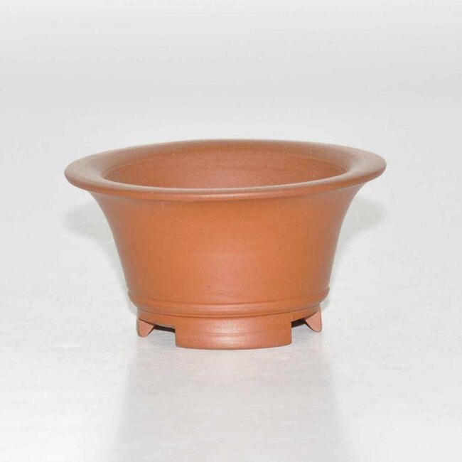 Olla rondo