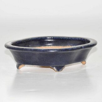 Hattori Tomoyuki Oval pot