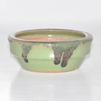 Hattori Tomoyuki Olla redonda