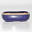 Ovale pot