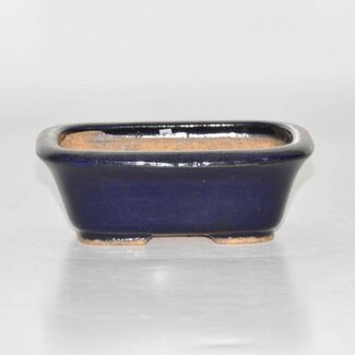 Hattori Tomoyuki Rectangular pot