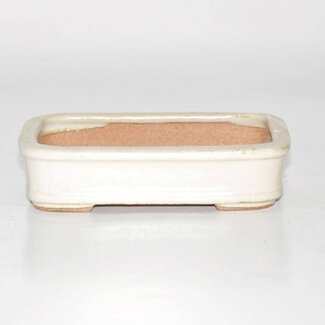 Hattori Tomoyuki Rectangular pot