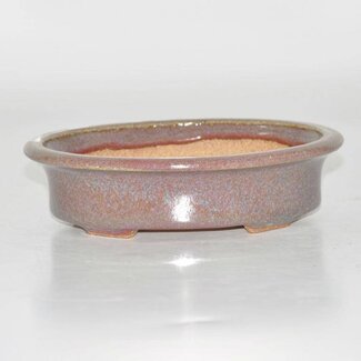 Hattori Tomoyuki Oval pot