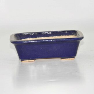 Hattori Tomoyuki Rectangular pot