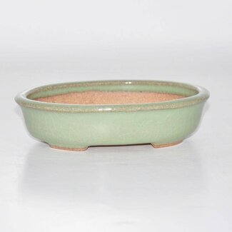  Hattori Tomoyuki Oval pot