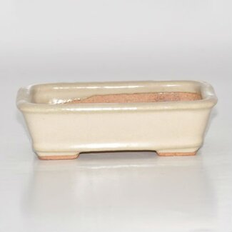 Hattori Tomoyuki Rectangular pot