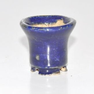 Hattori Tomoyuki Vaso tondo