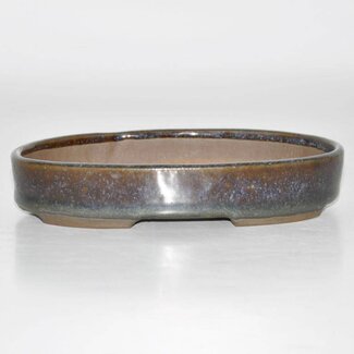 Chinese bonsai pots Vaso ovale