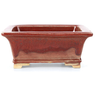 Keiun Fukuda 桂雲 134 mm rectangular red bonsai pot by Keiun Fukuda, Japan