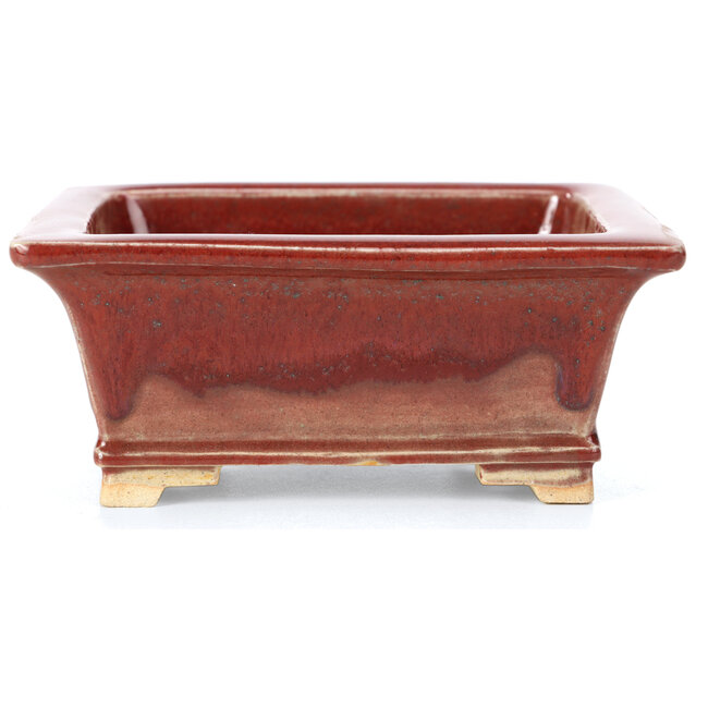 Vaso rettangolare per bonsai rosso di Keiun Fukuda - 134 x 111 x 58 mm