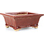 Rectangular red bonsai pot by Keiun Fukuda - 134 x 111 x 58 mm