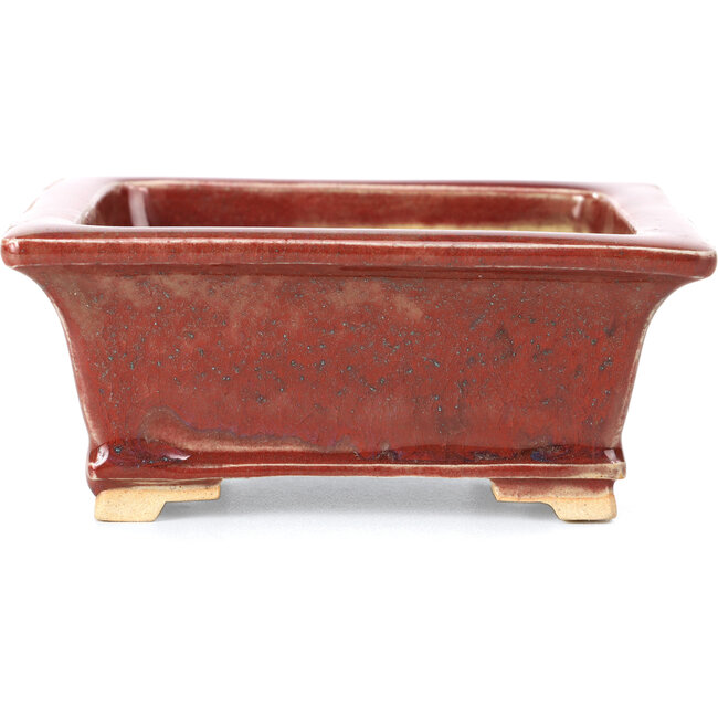 Pot à bonsaï rectangulaire rouge par Keiun Fukuda - 134 x 111 x 58 mm