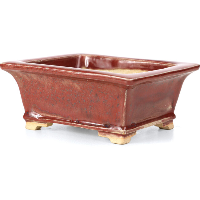 Rectangular red bonsai pot by Keiun Fukuda - 134 x 111 x 58 mm