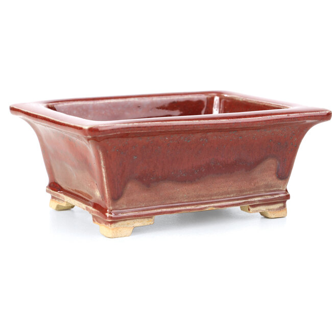 Rectangular red bonsai pot by Keiun Fukuda - 134 x 111 x 58 mm