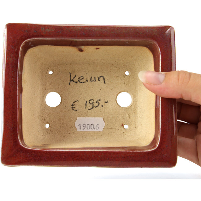 Vaso rettangolare per bonsai rosso di Keiun Fukuda - 134 x 111 x 58 mm