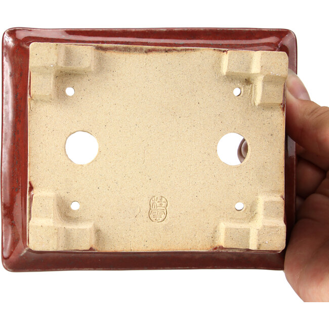 Maceta de bonsái roja rectangular de Keiun Fukuda - 134 x 111 x 58 mm