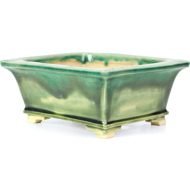 Maceta de bonsái verde rectangular de Keiun Fukuda - 134 x 111 x 58 mm