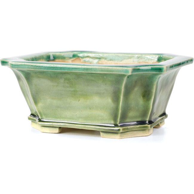 Rectangular green bonsai pot by Keiun Fukuda - 150 x 123 x 58 mm