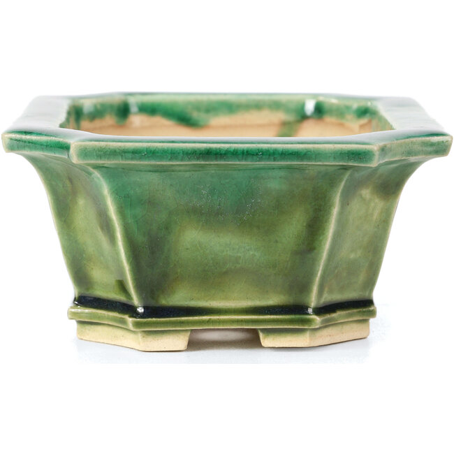 Rechteckige grüne Bonsaischale von Keiun Fukuda - 150 x 123 x 58 mm