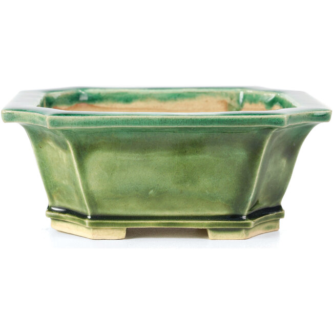 Vaso per bonsai rettangolare verde di Keiun Fukuda - 150 x 123 x 58 mm