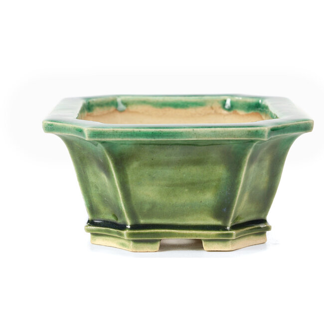 Rechthoekige groene bonsaipot van Keiun Fukuda - 150 x 123 x 58 mm