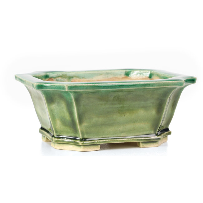 Maceta de bonsái verde rectangular de Keiun Fukuda - 150 x 123 x 58 mm