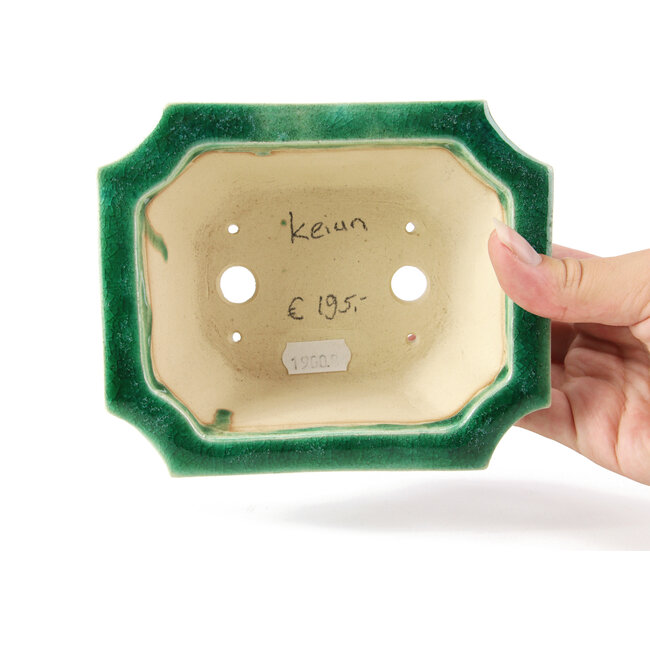 Vaso per bonsai rettangolare verde di Keiun Fukuda - 150 x 123 x 58 mm