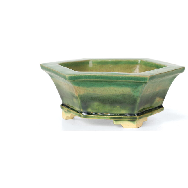 Vaso per bonsai verde esagonale di Keiun Fukuda - 140 x 125 x 50 mm