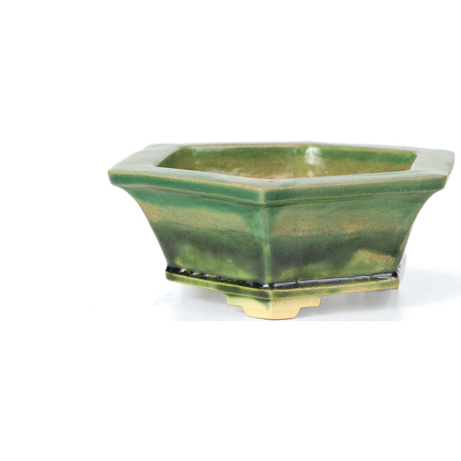 Maceta de bonsái verde hexagonal de Keiun Fukuda - 140 x 125 x 50 mm