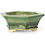 Hexagonal green bonsai pot by Keiun Fukuda - 140 x 125 x 50 mm