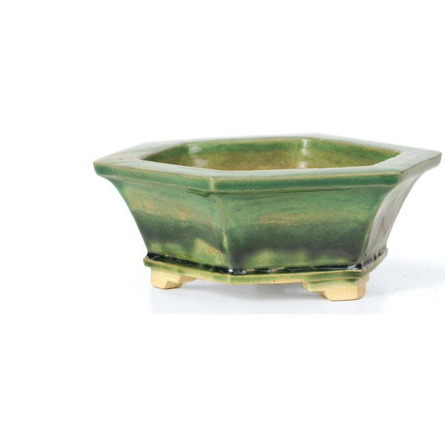 Hexagonal green bonsai pot by Keiun Fukuda - 140 x 125 x 50 mm