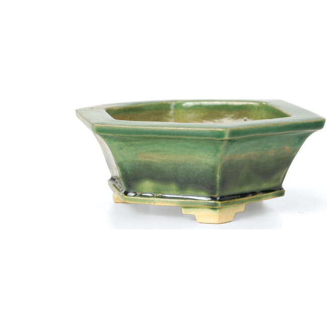 Sechseckige grüne Bonsaischale von Keiun Fukuda - 140 x 125 x 50 mm