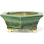 Hexagonal green bonsai pot by Keiun Fukuda - 140 x 125 x 50 mm