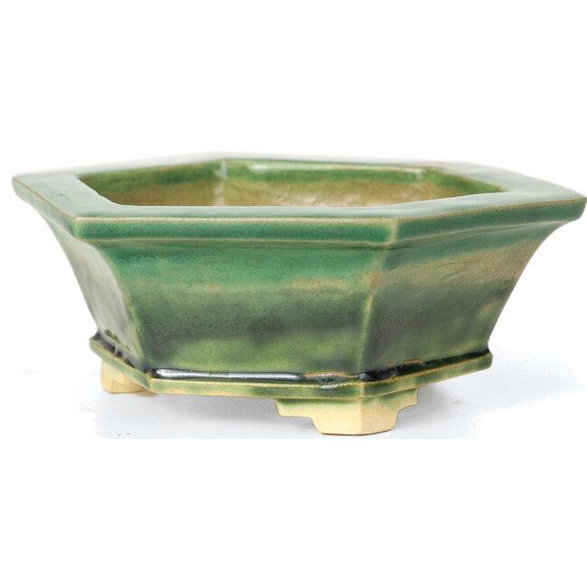 Zeshoekige groene bonsaipot van Keiun Fukuda - 140 x 125 x 50 mm