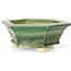 Hexagonal green bonsai pot by Keiun Fukuda - 140 x 125 x 50 mm