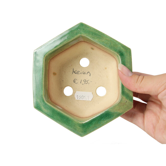 Pot à bonsaï vert hexagonal par Keiun Fukuda - 140 x 125 x 50 mm