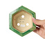 Maceta de bonsái verde hexagonal de Keiun Fukuda - 140 x 125 x 50 mm
