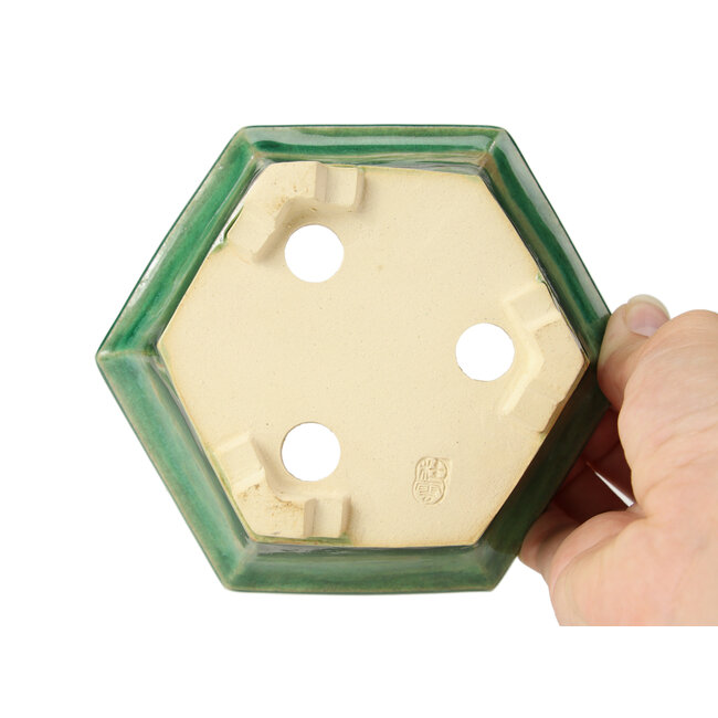 Maceta de bonsái verde hexagonal de Keiun Fukuda - 140 x 125 x 50 mm