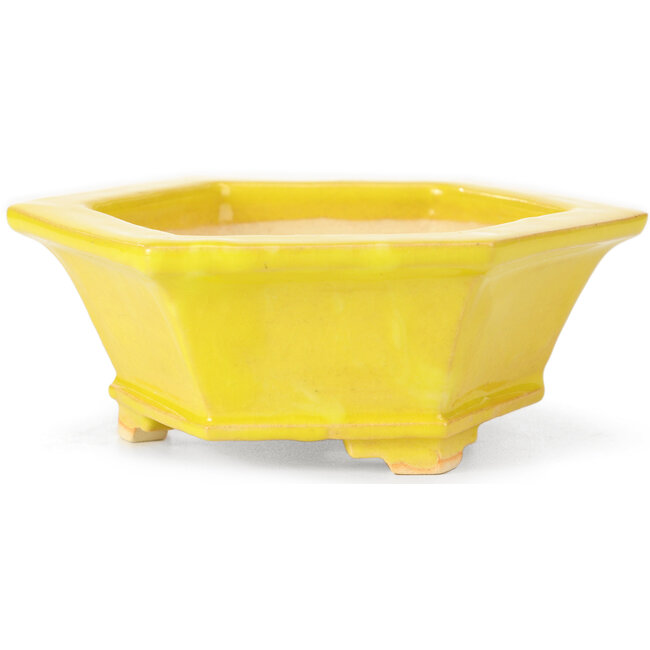 Hexagonal yellow bonsai pot by Keiun Fukuda - 140 x 125 x 50 mm