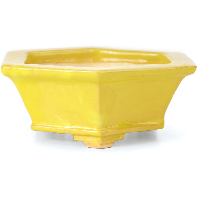 Zeshoekige gele bonsaipot van Keiun Fukuda - 140 x 125 x 50 mm
