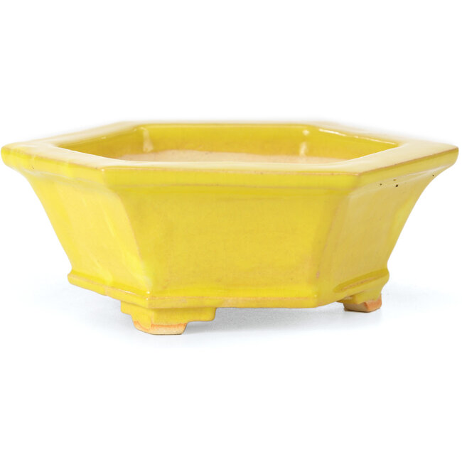Vaso per bonsai esagonale giallo di Keiun Fukuda - 140 x 125 x 50 mm