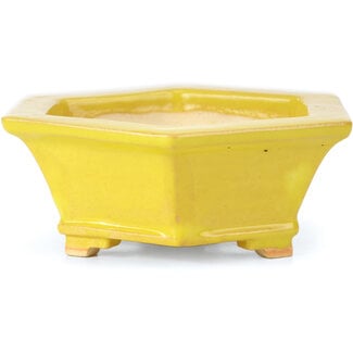 Keiun Fukuda 桂雲 140 mm hexagonal yellow bonsai pot by Keiun Fukuda, Japan