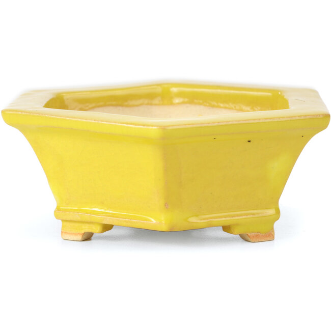 Vaso per bonsai esagonale giallo di Keiun Fukuda - 140 x 125 x 50 mm