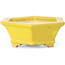 Hexagonal yellow bonsai pot by Keiun Fukuda - 140 x 125 x 50 mm