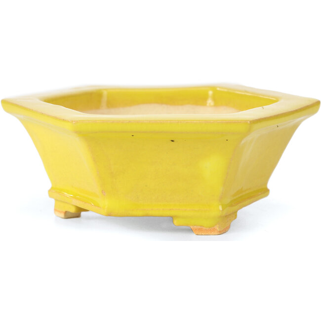 Zeshoekige gele bonsaipot van Keiun Fukuda - 140 x 125 x 50 mm